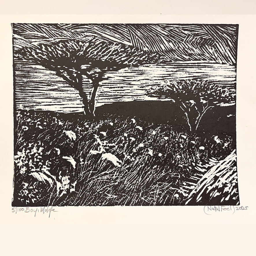 BM 1.16 - 5/100 - ca 40x30 cm