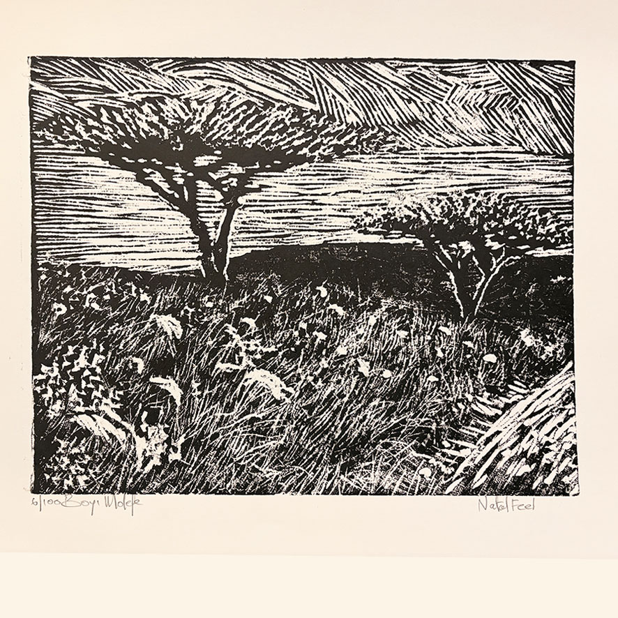 BM 1.17 - 6/100 - ca 43x36 cm