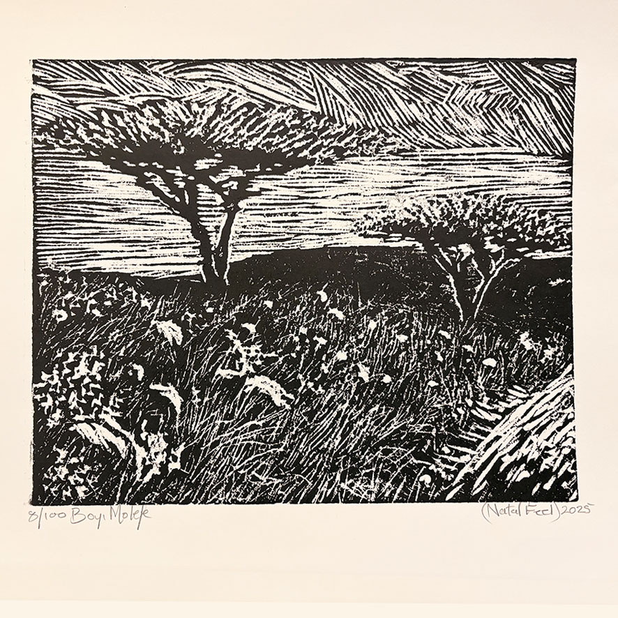 BM 1.19 - 8/100 - ca 43x36 cm