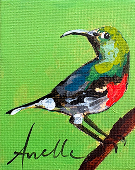 AP 1.51 - 8 x 10 cm 