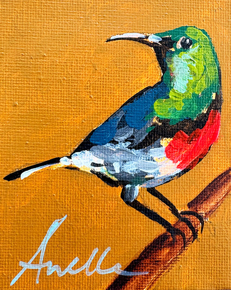 AP 1.53 - 8 x 10 cm - vergeben