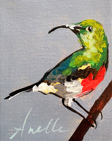 AP 1.54 - 8 x 10 cm - vergeben