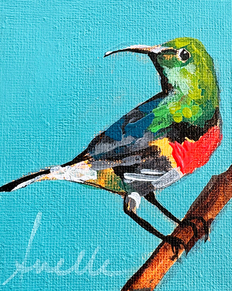 AP 1.55 - 8 x 10 cm 