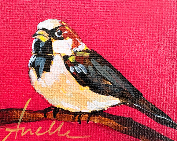 AP 1.58 - 8 x 10 cm 