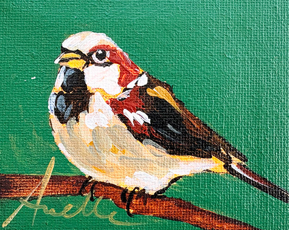 AP 1.59 - 8 x 10 cm 