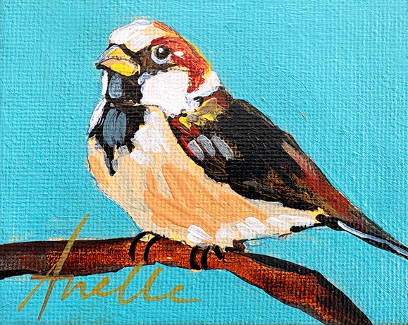 AP 1.60 - 8 x 10 cm 